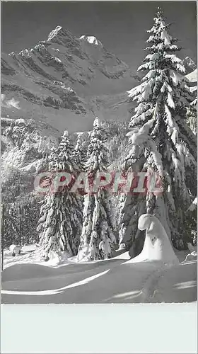 Cartes postales moderne Braunwald Glarus 1300 am Ortskock 2720 m