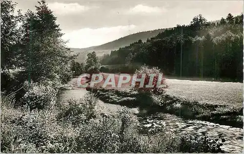 Cartes postales moderne Romantissches Nagoldtal