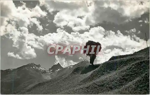 Cartes postales moderne Heutragerin im Lotschental