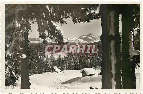 Cartes postales moderne Crans sur Sierre alt 1500 m Suisse Hotel Rhodania tout Confort Moderne