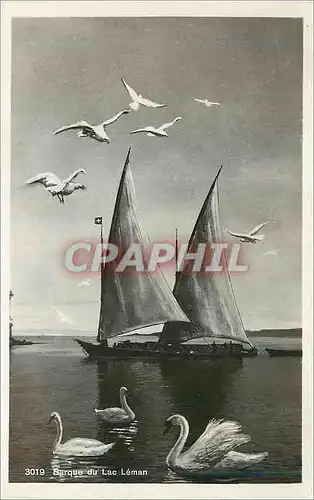 Cartes postales moderne Barques du Lac Leman Bateau
