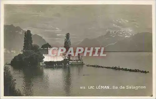 Moderne Karte Lac Leman Ile de Salagnon