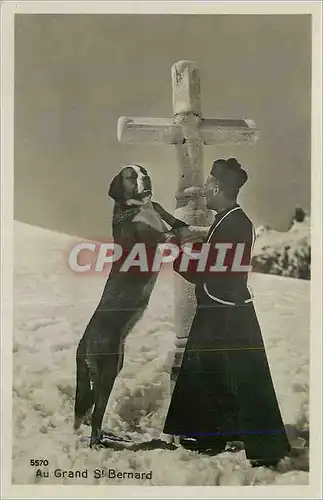 Cartes postales moderne Au Grand St Bernard Pretre Chien