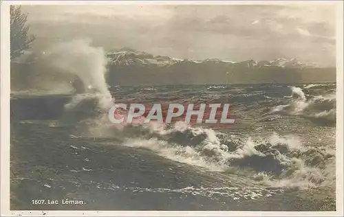 Cartes postales moderne Lac Leman