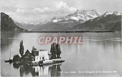Cartes postales moderne Lac Leman Ile de Salagnon et les Dents du Midi