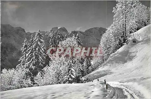 Cartes postales moderne Braunwald Glarus 1300 m am Weg zum Rudschen mit Todi 3623 m u Gemsfayren 2976 m