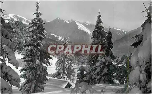 Cartes postales moderne Winter am Hasliberg