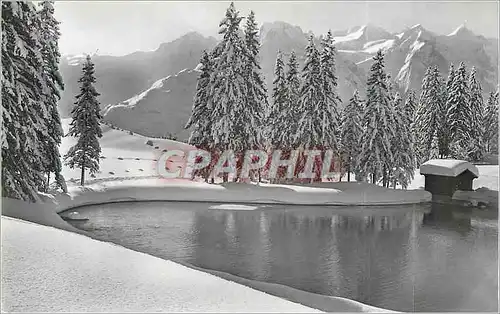 Cartes postales moderne Bidmi Hasliberg B O Schweiz