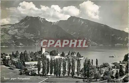 Cartes postales moderne Spiez gegen Ralligstocke