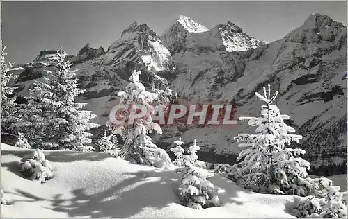 Cartes postales moderne Kandersteg Oeschinen Blumlisalp u Frundenhorn