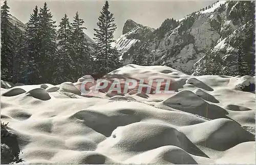 Moderne Karte Winter in Kandersteg Gellihorn