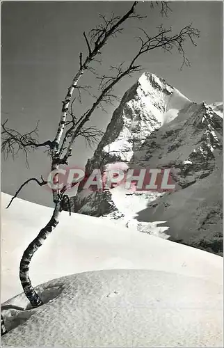 Cartes postales moderne Der Eiger