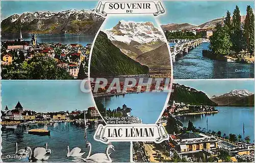 Cartes postales moderne Souvenir du Lac Leman