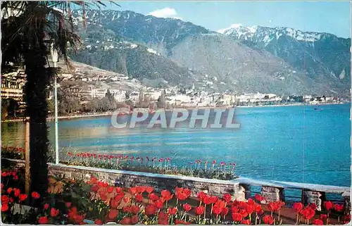 Cartes postales moderne Clarens Le Nouveau Quai et vue sur Montreux