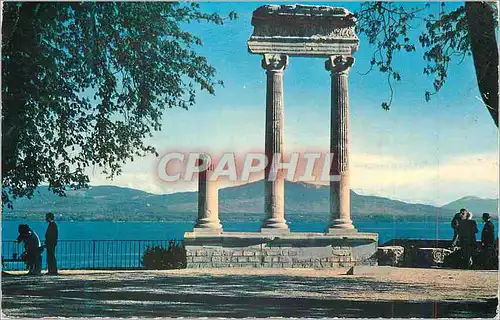 Cartes postales moderne Nyon Les Colonnes Romaines et le Mont Blanc