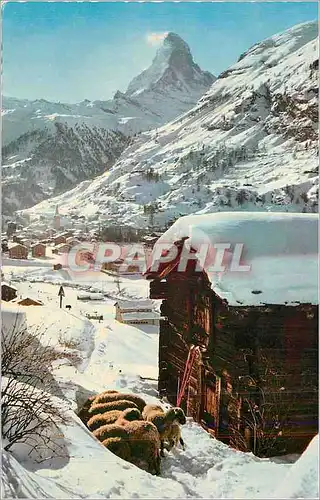 Cartes postales moderne Zermatt 1620 m mit Matterhorn