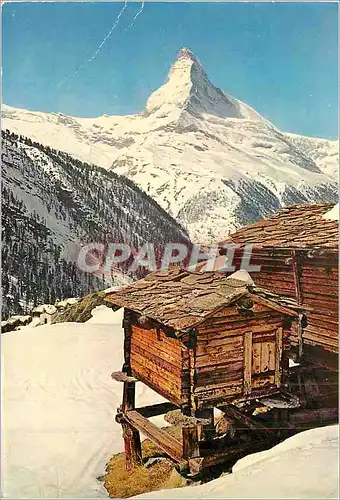 Cartes postales moderne Zermatt Findeln mit Matterhorn