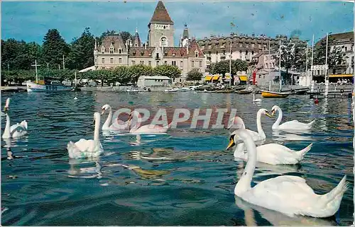 Cartes postales moderne Lausanne Ouchy Le Port et le Ch�teau Cygnes