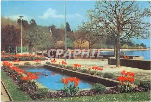 Cartes postales moderne Lausanne Ouchy Les Quais en Fleurs