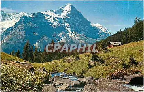 Cartes postales moderne Grindelwald Firstgebiet mit Eiger
