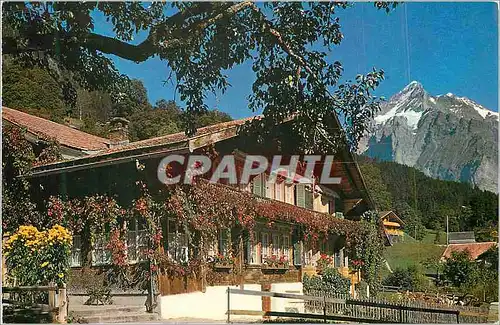 Cartes postales moderne Grindelwald Altes Chalet mit Wetterhorn