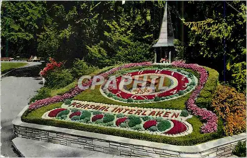 Cartes postales moderne Interlaken Blumenuhr im Kurgarten