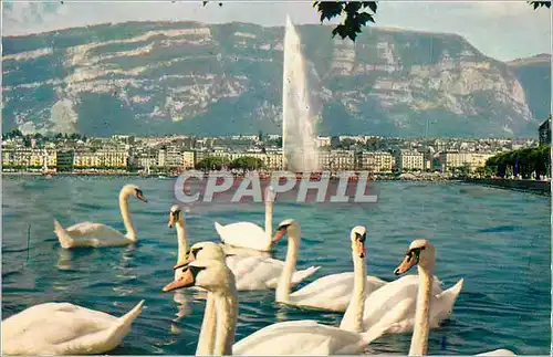 Cartes postales moderne Geneve Vue Generale et le Saleve Cygnes