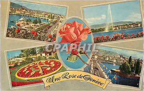 Cartes postales moderne Geneve La Rade Le Jet d'Eau L'Horloge Fleurie L'Ile Rousseau