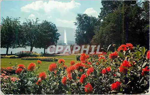 Cartes postales moderne Geneve Le Parc de la Perle du Lac