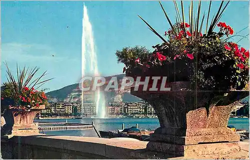 Cartes postales moderne Geneve Le Jet d'Eau (130 m)