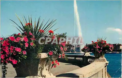 Cartes postales moderne Geneve Le Jet d'Eau (130 m)