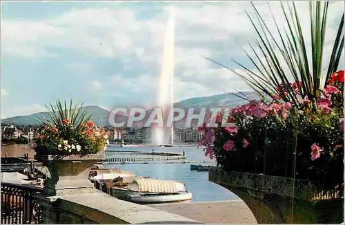 Cartes postales moderne Geneve Le Jet d'Eau (120 m)