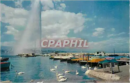 Cartes postales moderne Geneve Le Jet d'Eau (120 m)