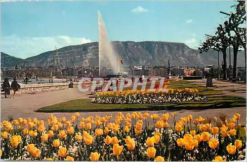 Cartes postales moderne Geneve Le Quai Wilson et le Jet d'Eau (130 m)