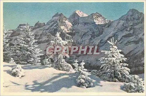 Cartes postales moderne Kandersteg Orschinen Blumlisalp und Frunderhorn