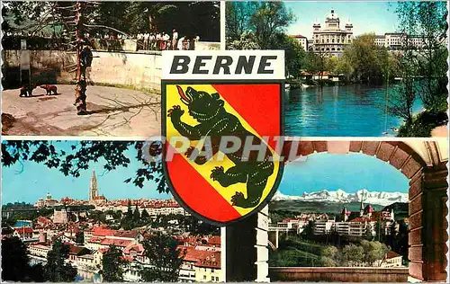 Moderne Karte Berne Ours Zoo