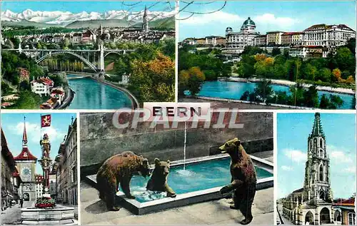 Cartes postales moderne Berne Ours Zoo