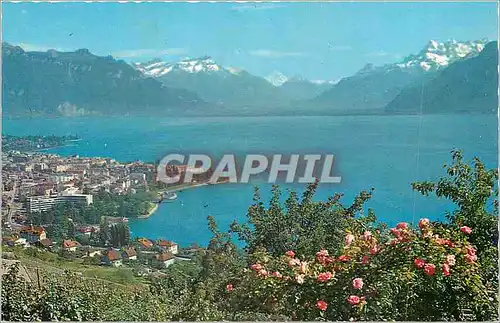 Cartes postales moderne Vevey et les Dents du Midi