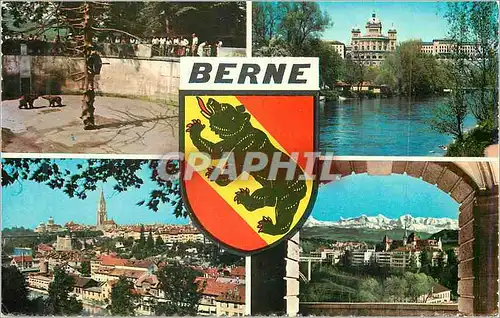 Cartes postales moderne Berne Ours Zoo