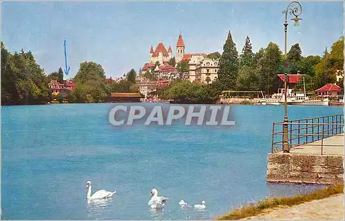 Cartes postales moderne Thun Thoune Aare Bassin mit Schloss und Kirche Cygnes