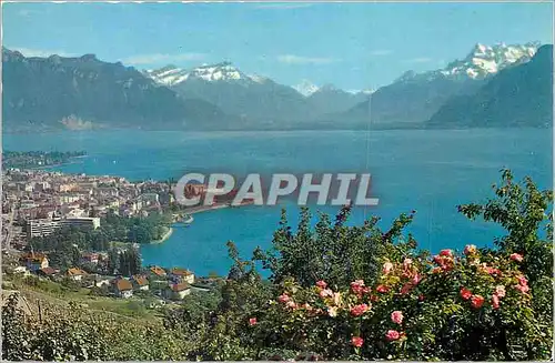 Cartes postales moderne Vevey et les Dents du Midi