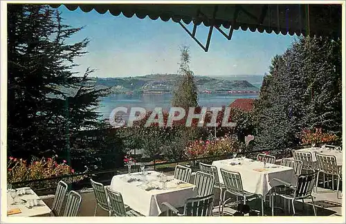 Cartes postales moderne Morat Hotel du Bateau Murten