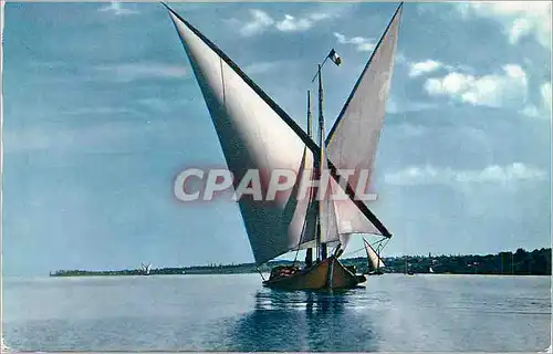 Cartes postales moderne Lac Leman Barque a Voiles Latines (Debut XXe S) Bateau