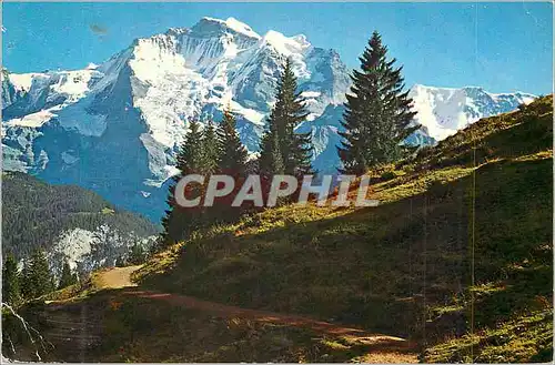 Cartes postales moderne Die Jungfrau 4158 m Ebnefluh 3960 m