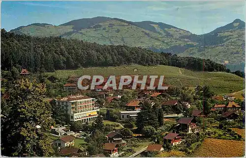 Cartes postales moderne Spiez mit Hotel Eden