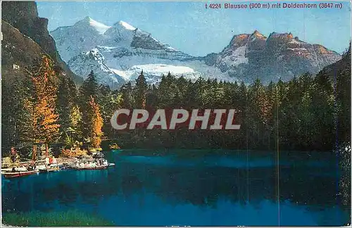 Cartes postales moderne Blausee (900 m) mit Doldenhorn (3647 m)