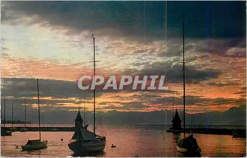 Cartes postales moderne Lac Leman Lever du Jour au Port de Morges Bateaux