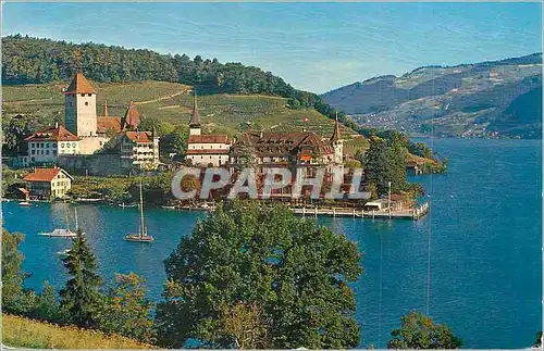 Cartes postales moderne Spiez am Thunersee mit Schloss