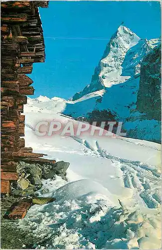 Cartes postales moderne Berner Oberland Eiger