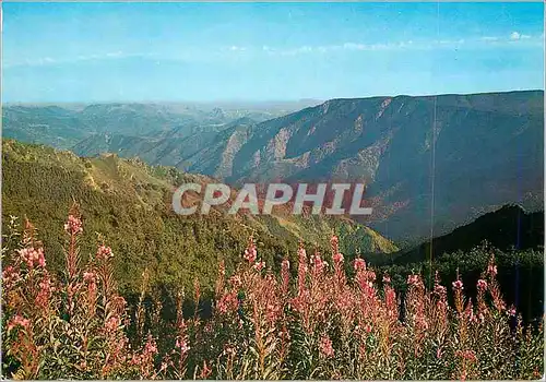 Moderne Karte Massif de l'Aigoual Magnifique Paysage de Montagne vu a l'approche du Sommet du Mont Aigoual (al